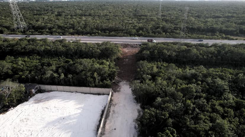 Camino de acceso al predio, ya despejado y señalizado