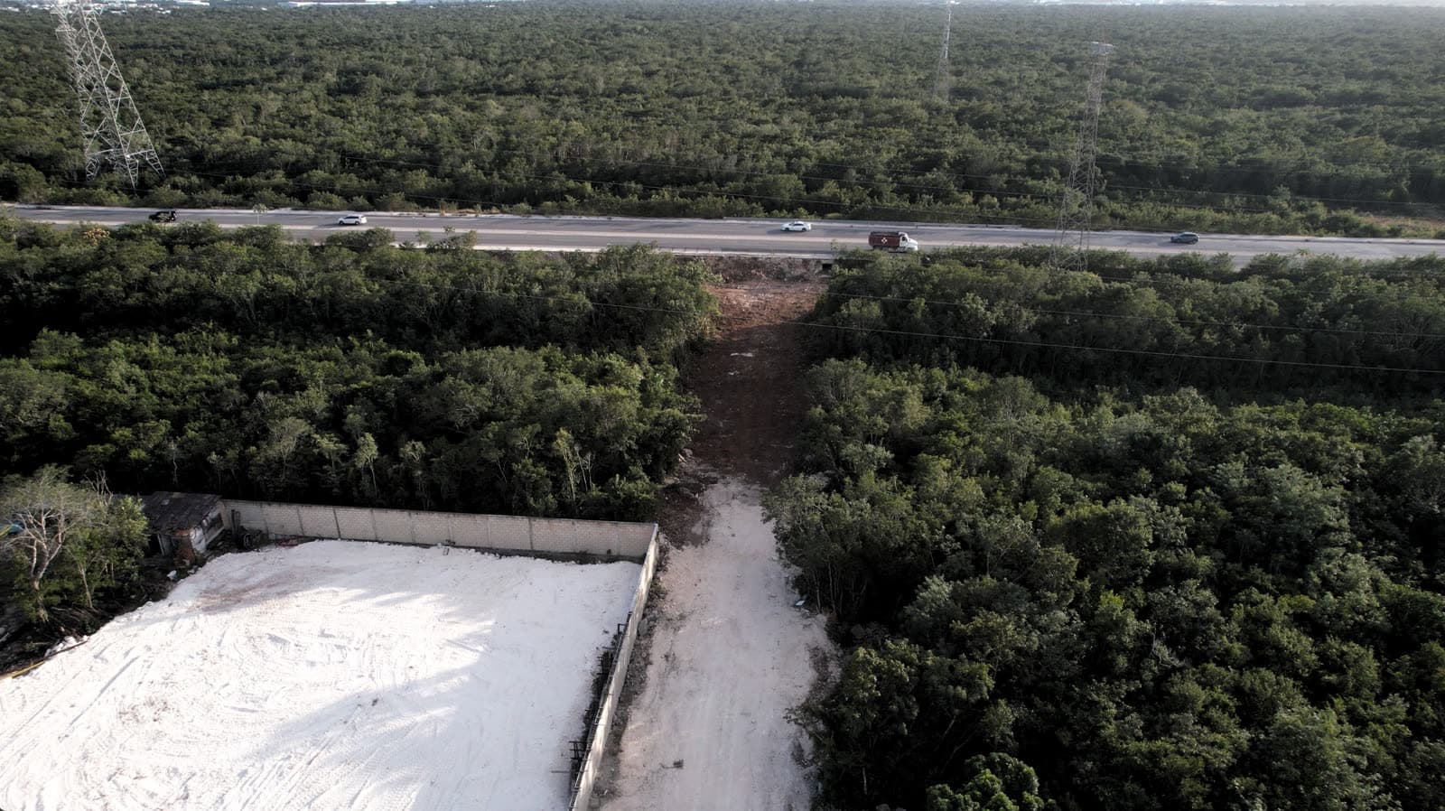 Apertura del camino hacia la avenida
